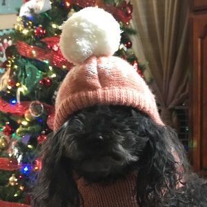 Meet your Posher, Sam